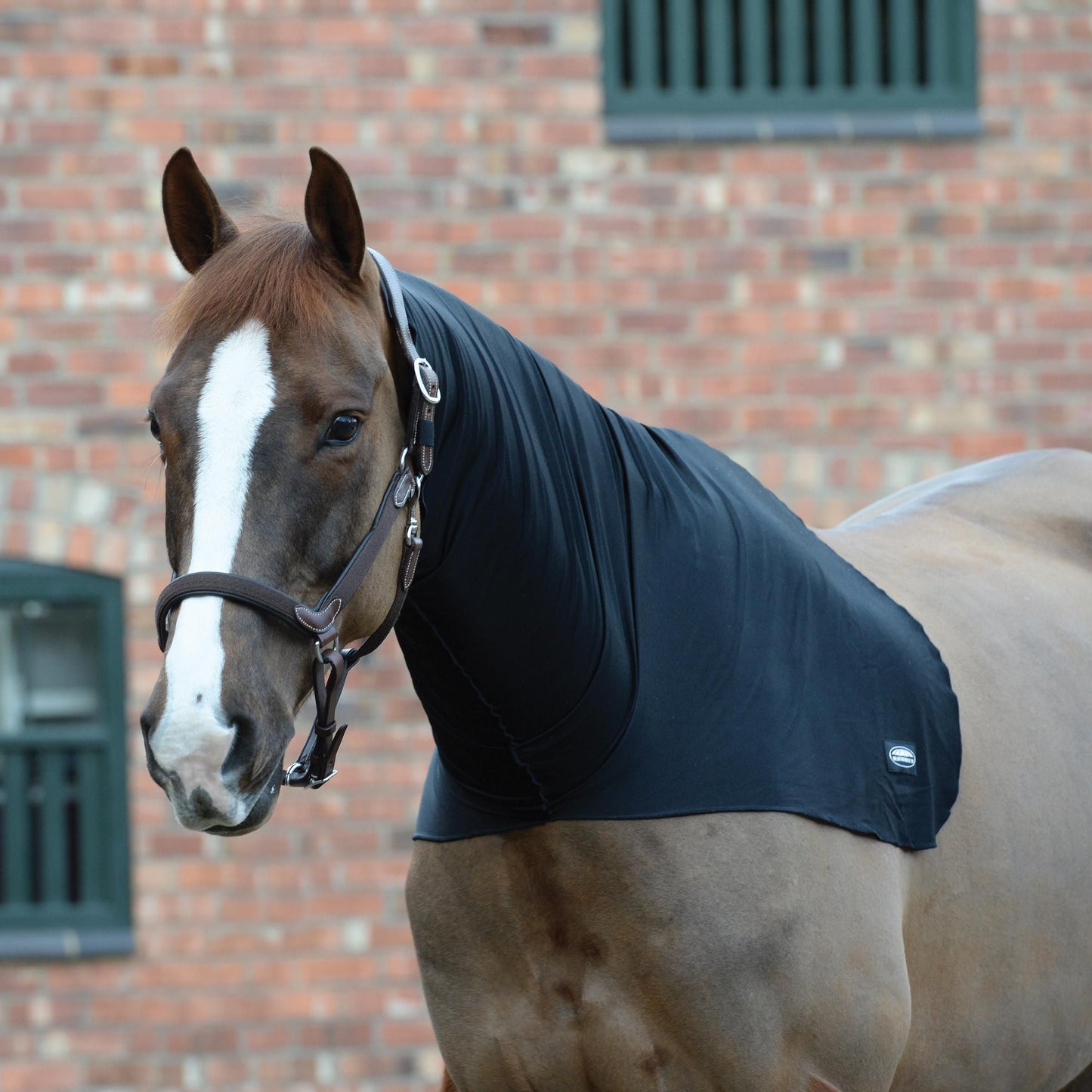 Weatherbeeta Stretch Neck Rug