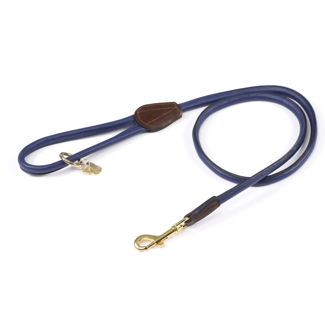Shires Digby & Fox Rolled Leather Dog Lead