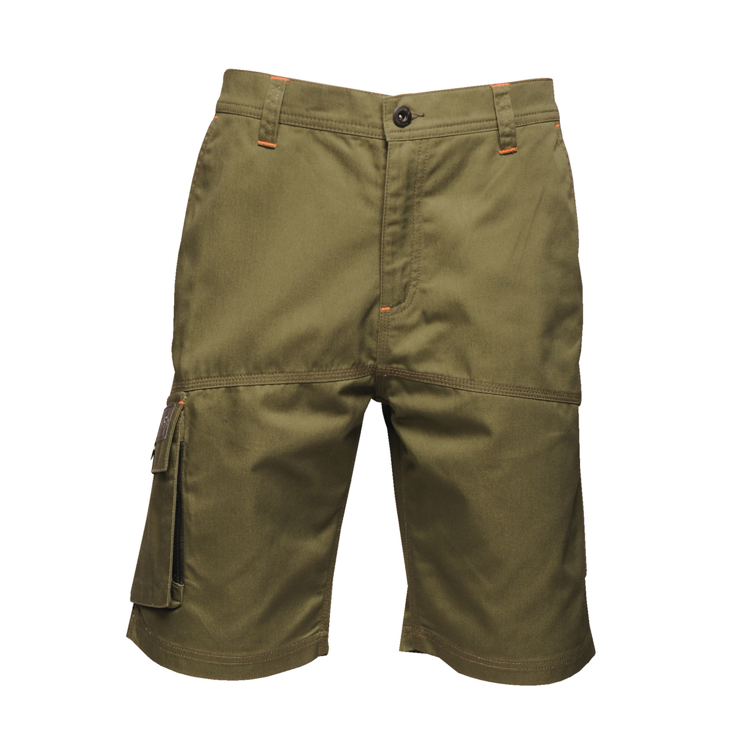 Regatta Professional Heroic Cargo Shorts