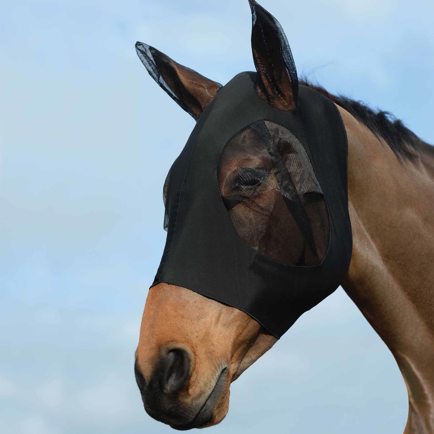 WeatherBeeta Stretch Bug Eye Saver with Ears
