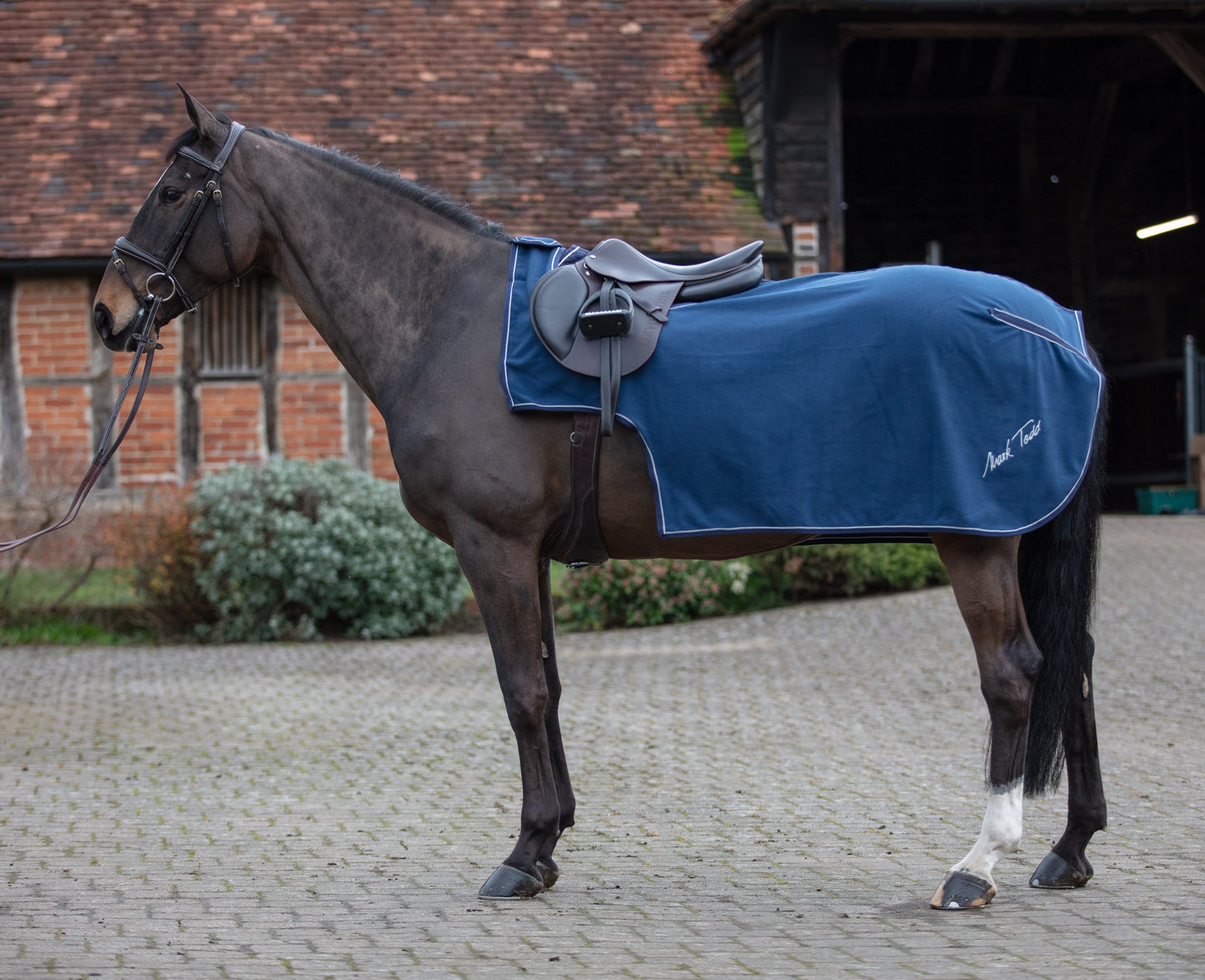 Mark Todd Fleece Exercise Sheet