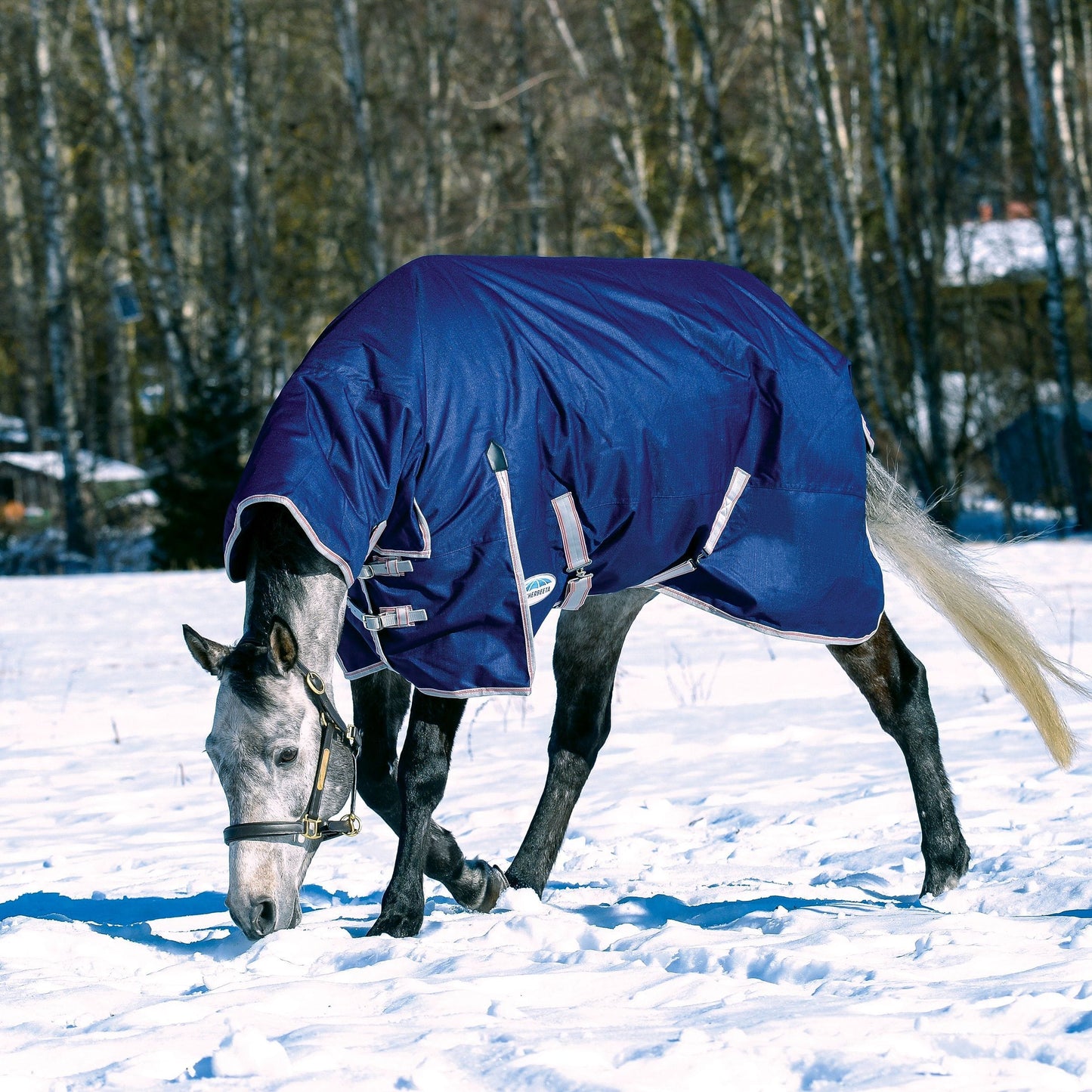 Weatherbeeta ComFiTec Essential Combo Neck Heavy Turnout Rug