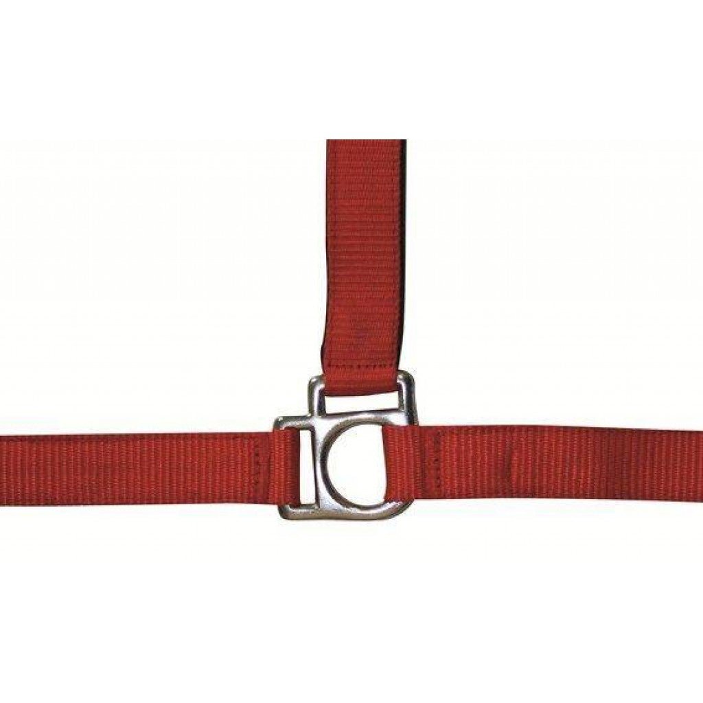 HKM Head Collar -Stars- with Soft Padding