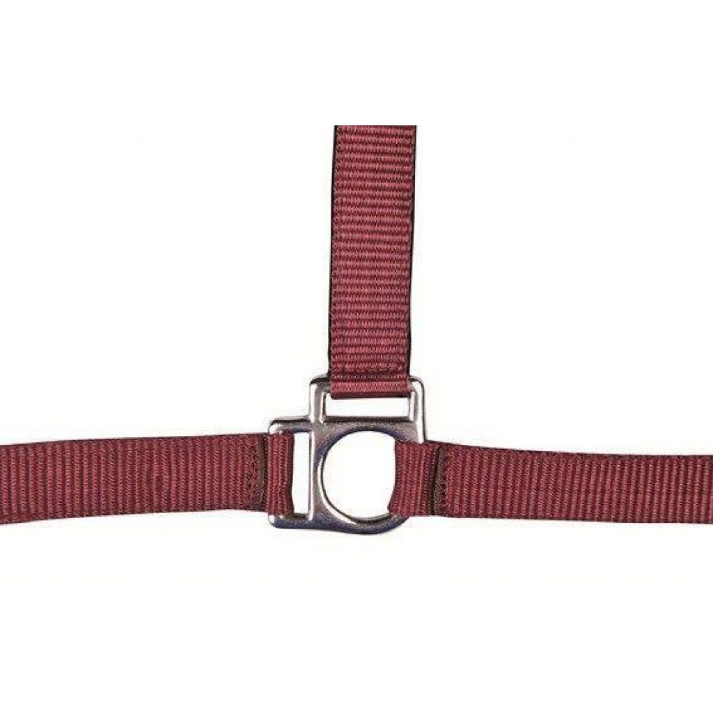 HKM Head Collar -Stars- with Soft Padding