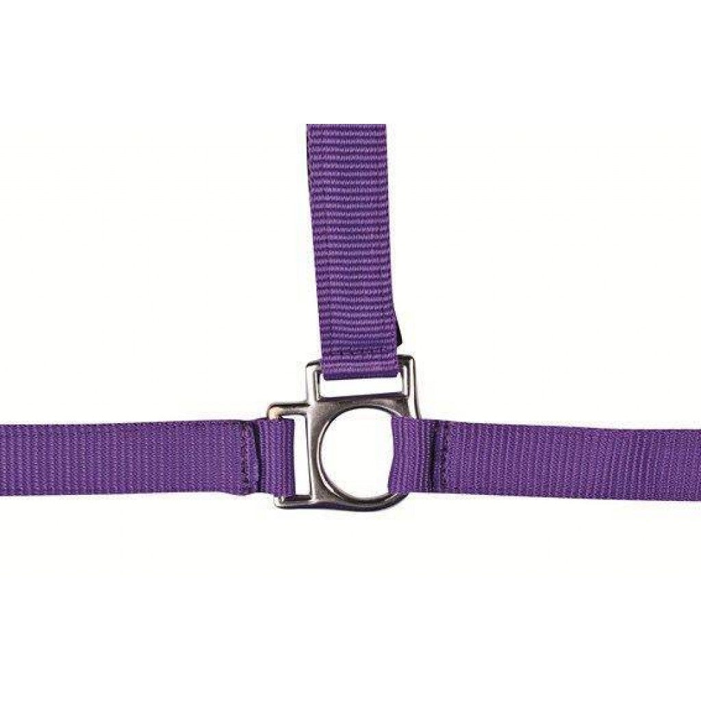 HKM Head Collar -Stars- with Soft Padding