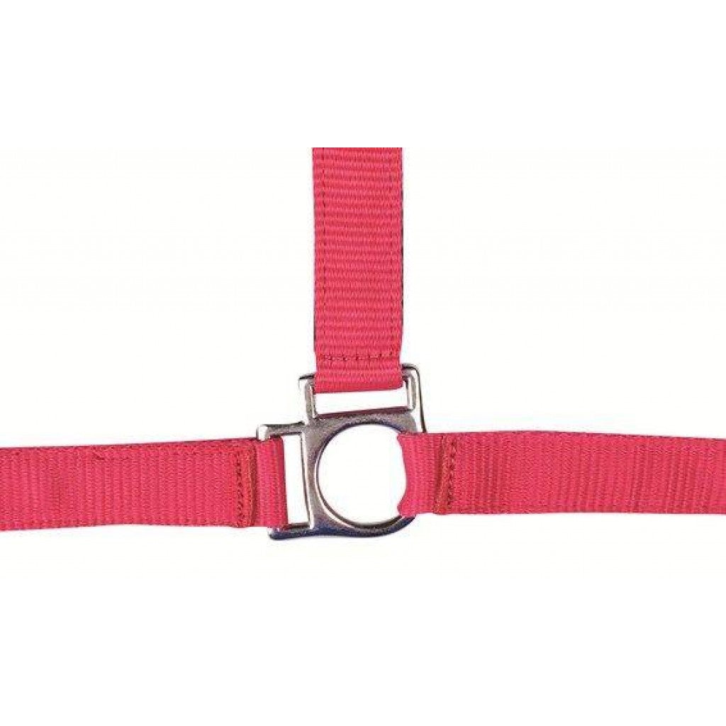 HKM Head Collar -Stars- with Soft Padding