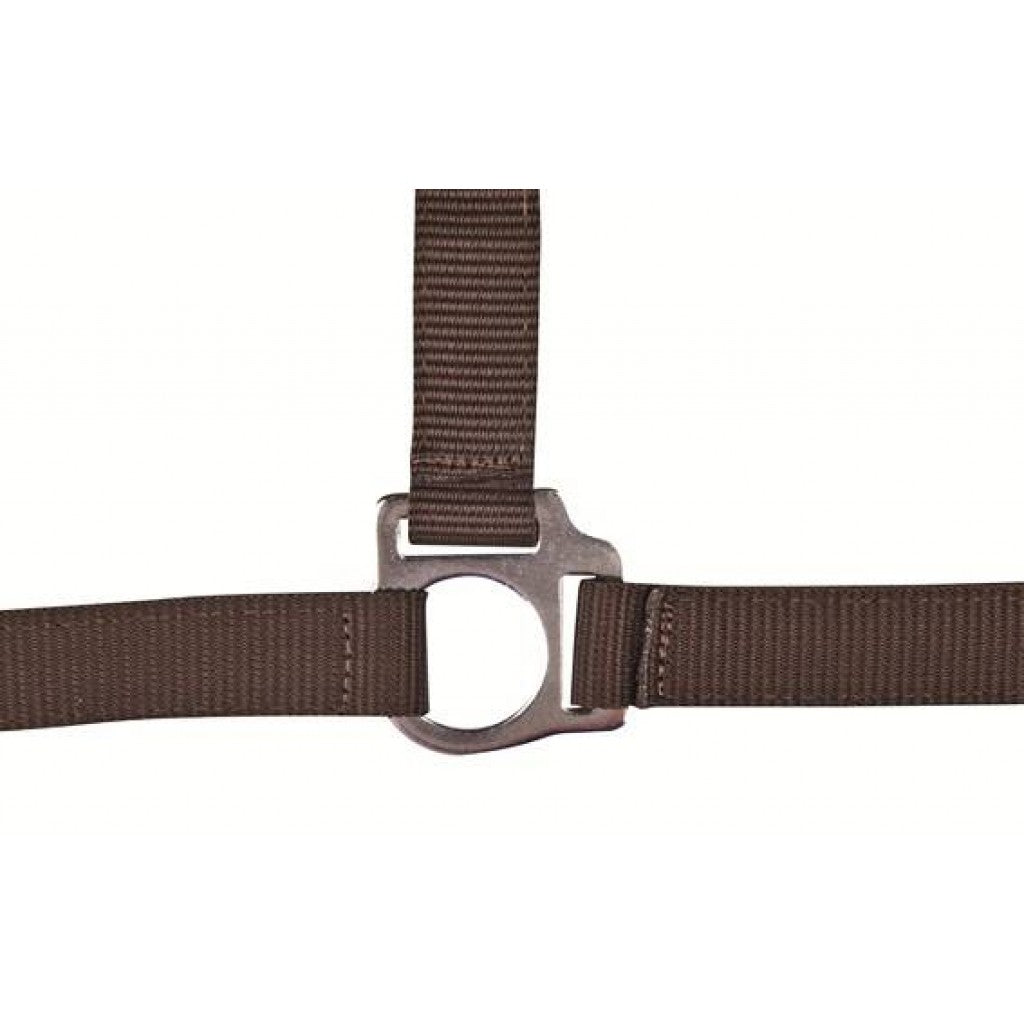 HKM Head Collar -Stars Economy-
