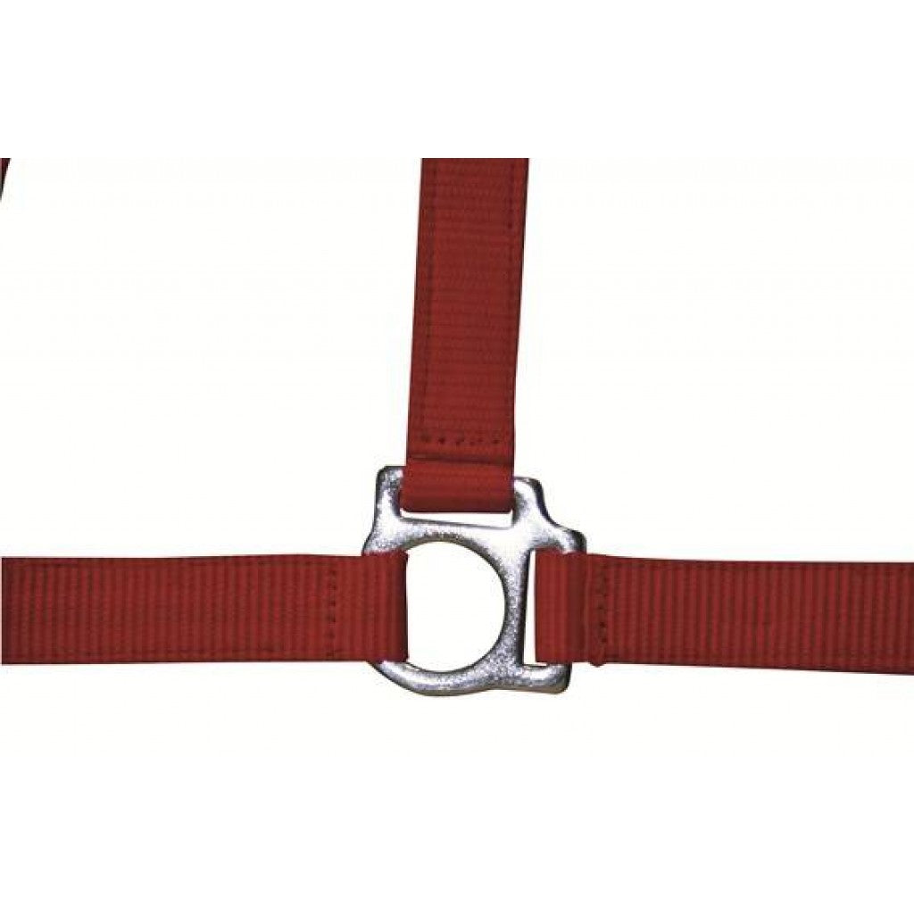 HKM Head Collar -Stars Economy-