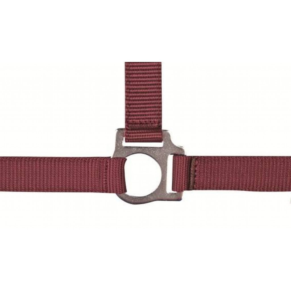 HKM Head Collar -Stars Economy-