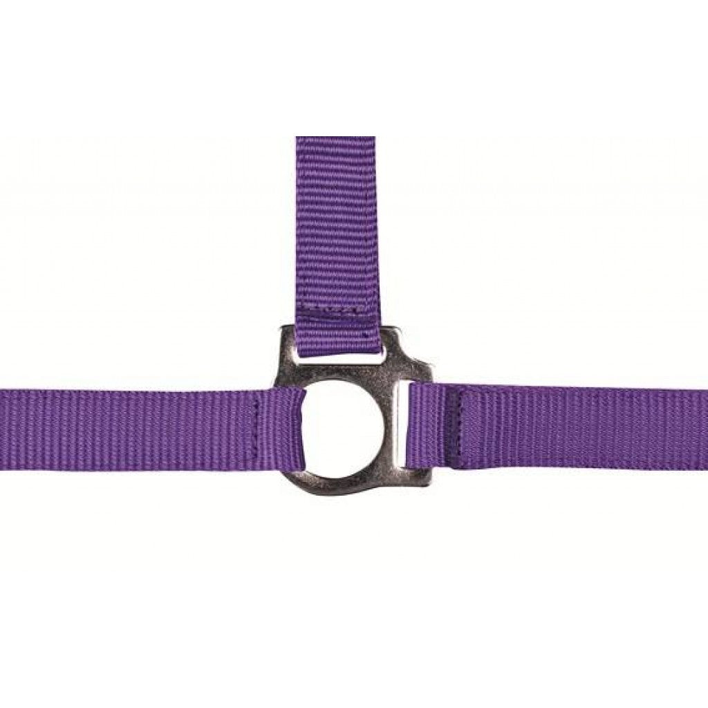 HKM Head Collar -Stars Economy-