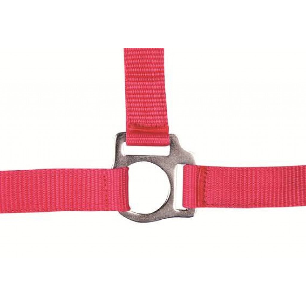 HKM Head Collar -Stars Economy-