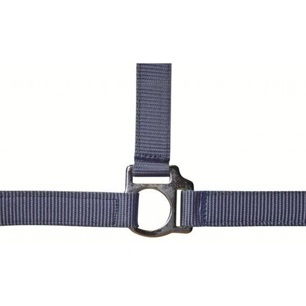 HKM Head Collar -Stars Economy-