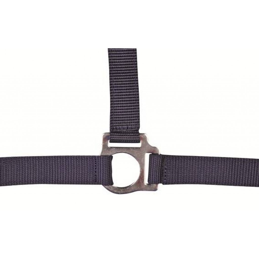 HKM Head Collar -Stars Economy-