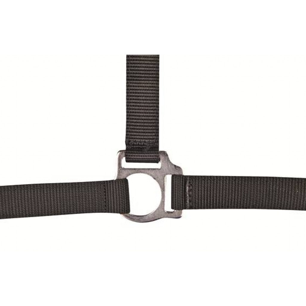 HKM Head Collar -Stars Economy-