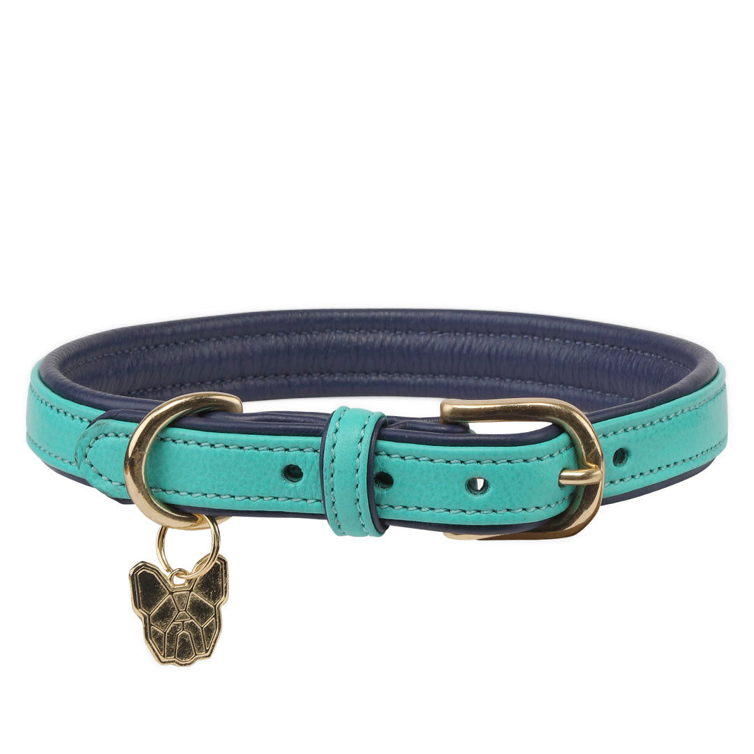 Shires Digby & Fox Padded Leather Dog Collar