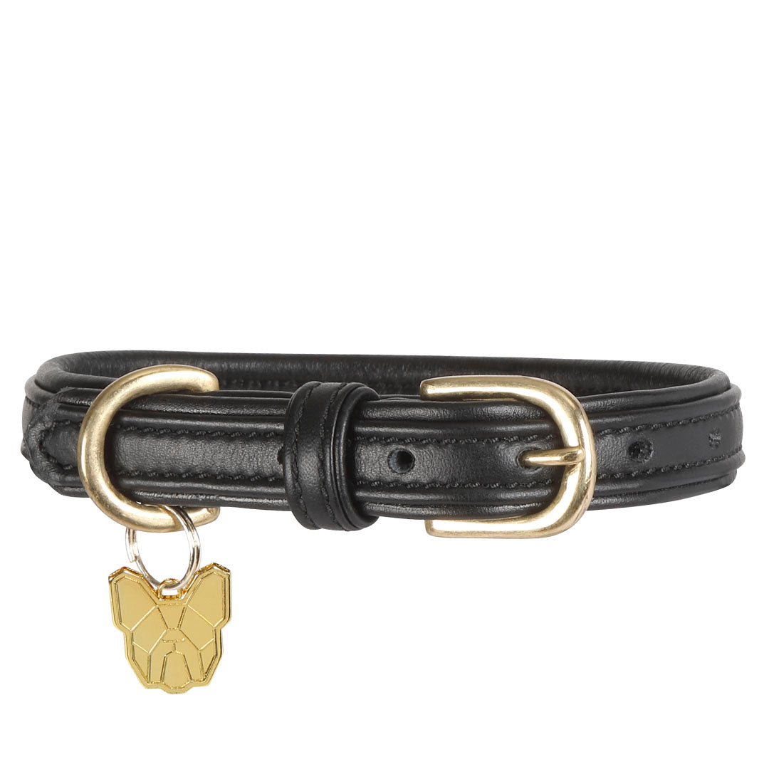 Shires Digby & Fox Padded Leather Dog Collar