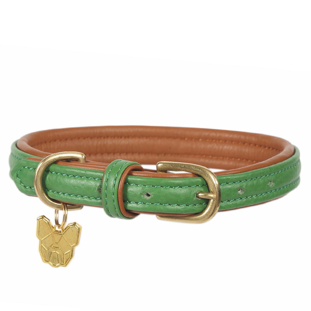 Shires Digby & Fox Padded Leather Dog Collar