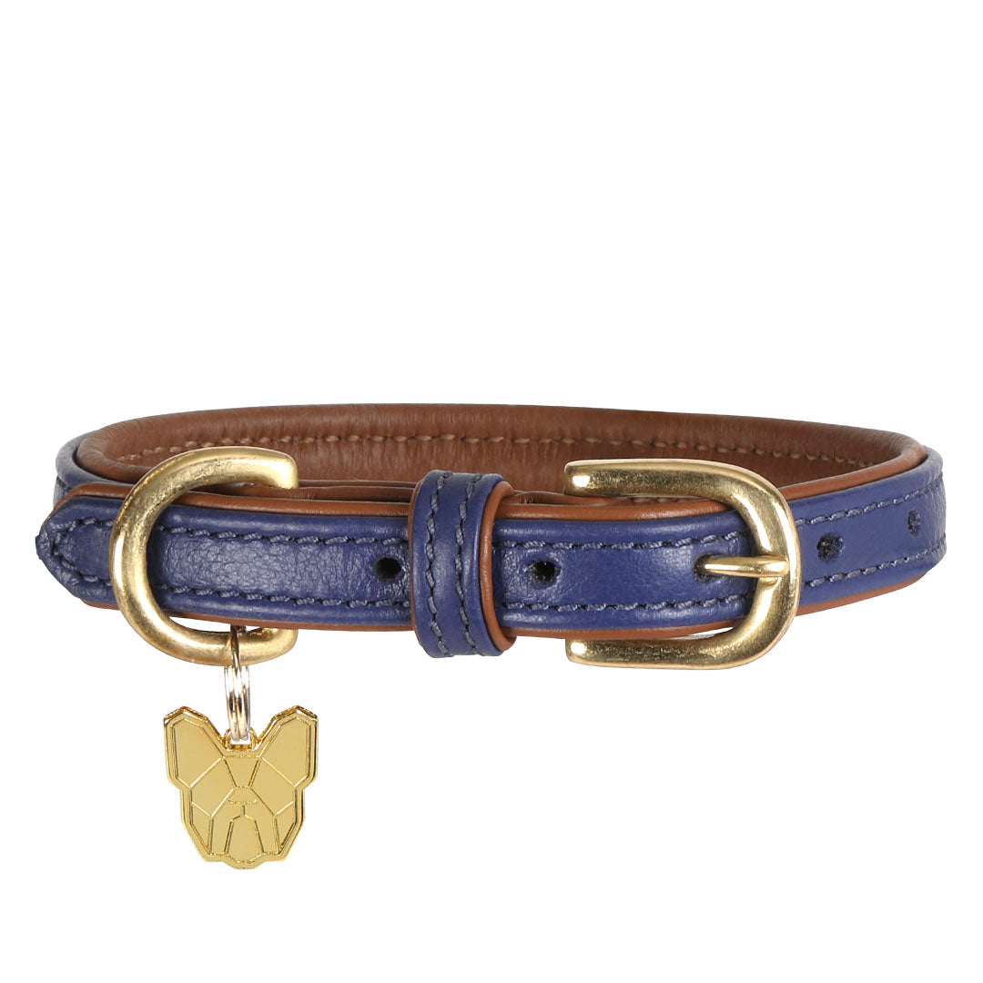 Shires Digby & Fox Padded Leather Dog Collar