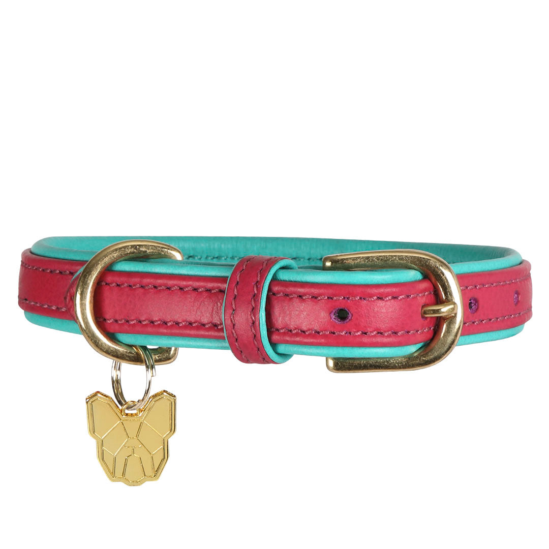 Shires Digby & Fox Padded Leather Dog Collar