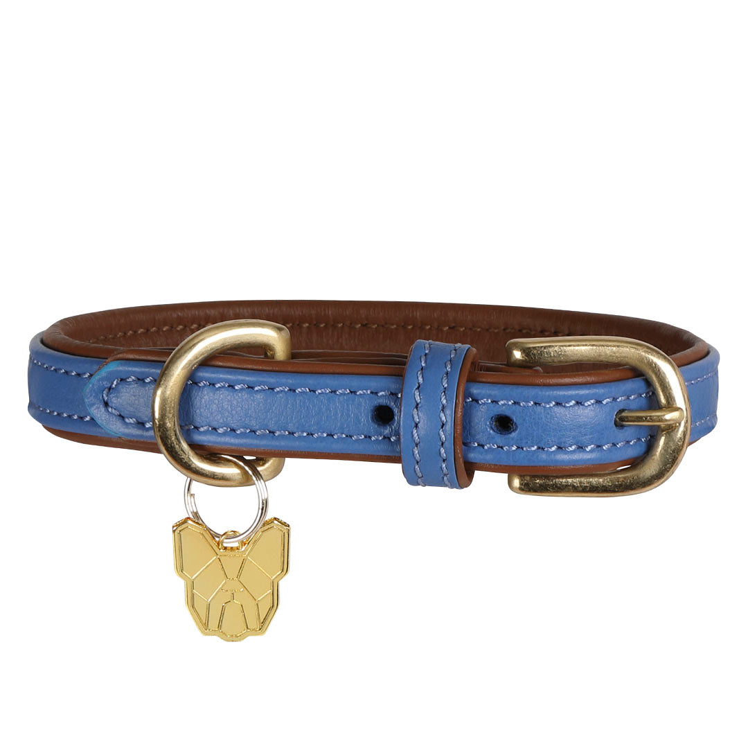 Shires Digby & Fox Padded Leather Dog Collar