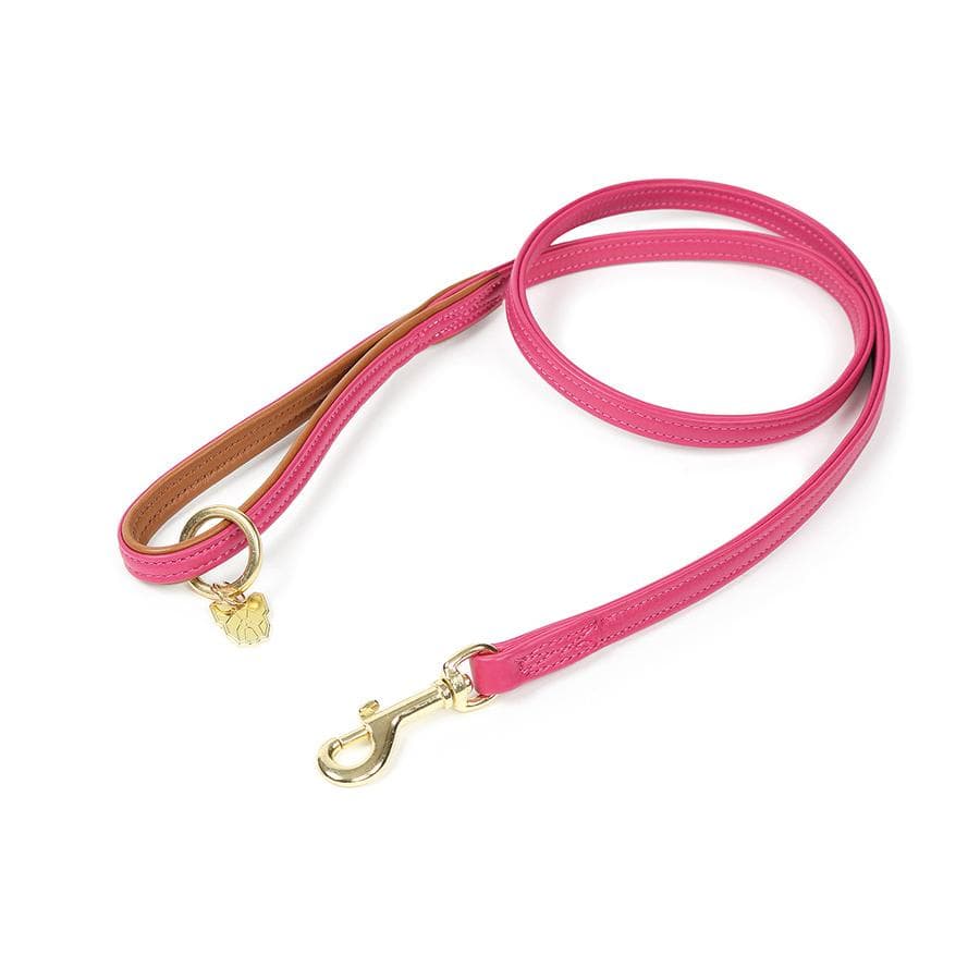 Shires Digby & Fox Padded Leather Dog Lead