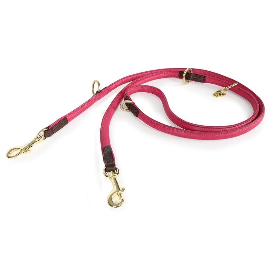 Shires Digby & Fox Rolled Leather Training Lead