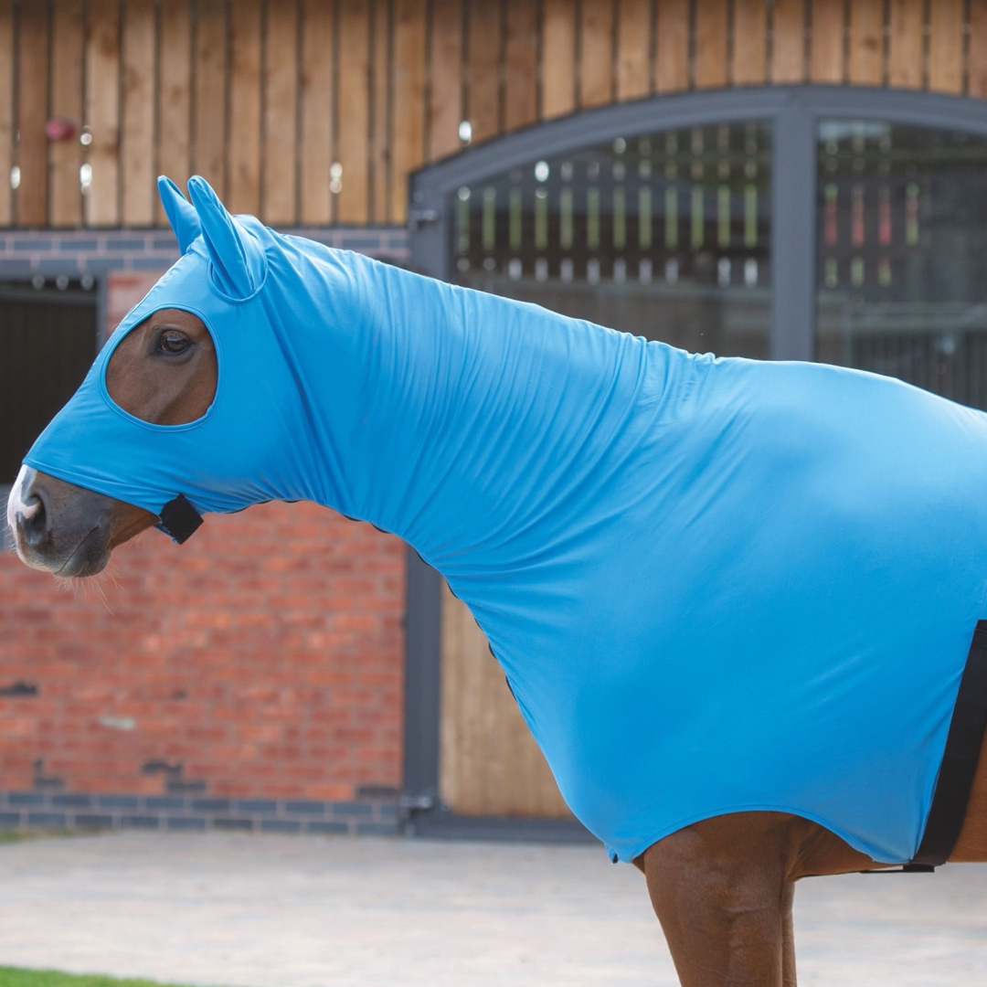 Shires Stretch Hood With Full Face