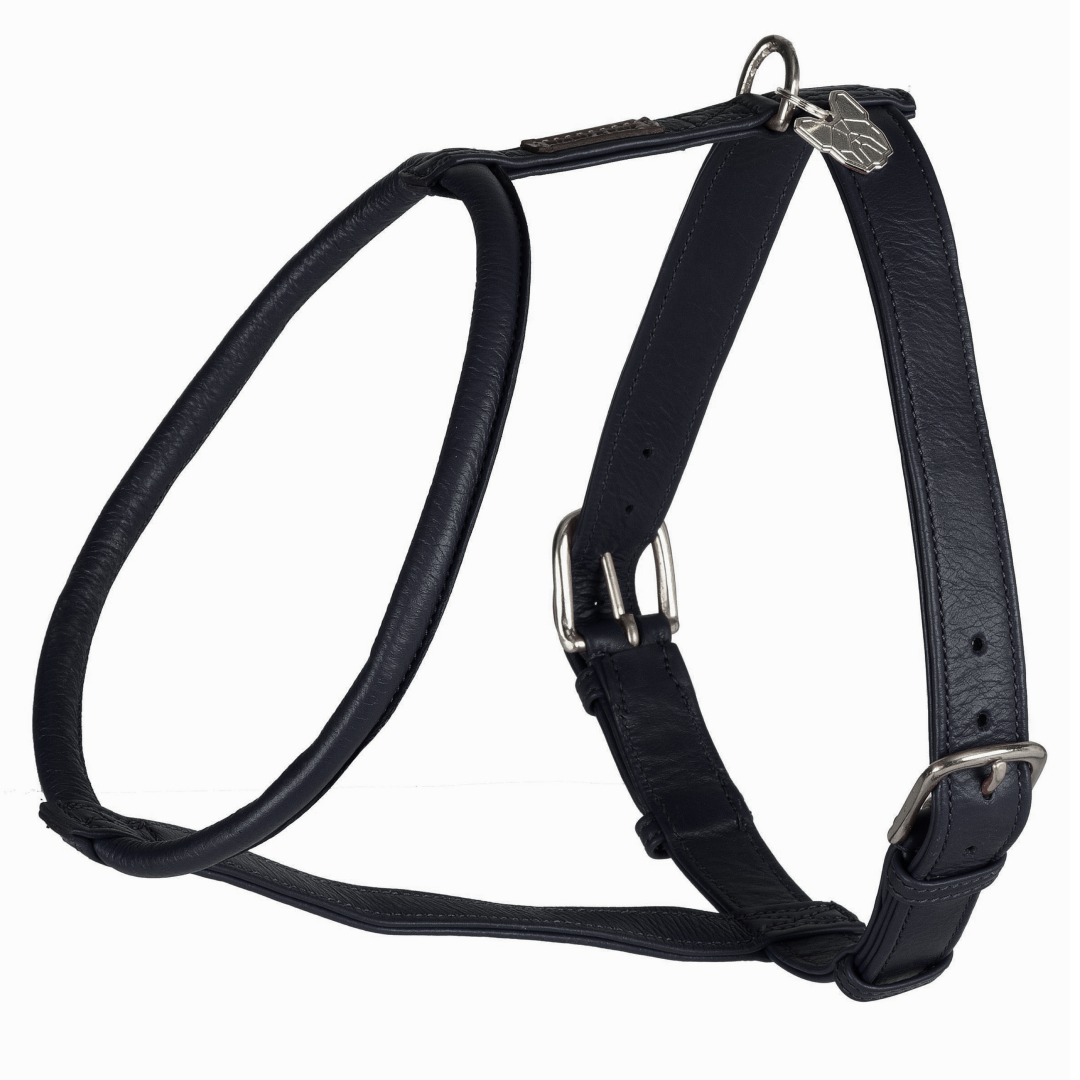Shires Digby & Fox Rolled Leather Dog Harness
