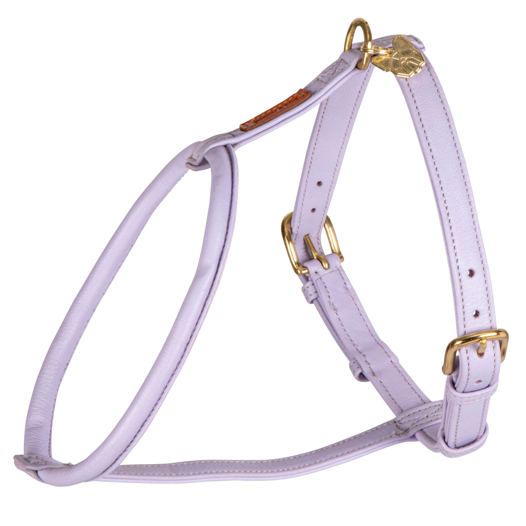 Shires Digby & Fox Rolled Leather Dog Harness