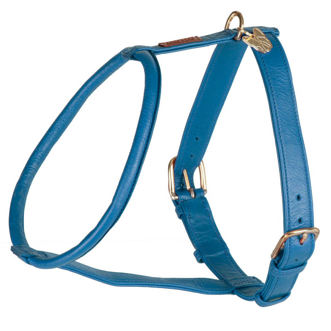 Shires Digby & Fox Rolled Leather Dog Harness