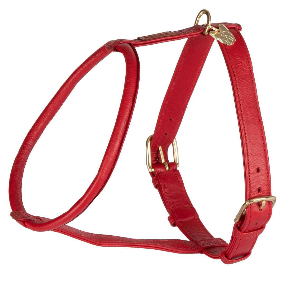 Shires Digby & Fox Rolled Leather Dog Harness