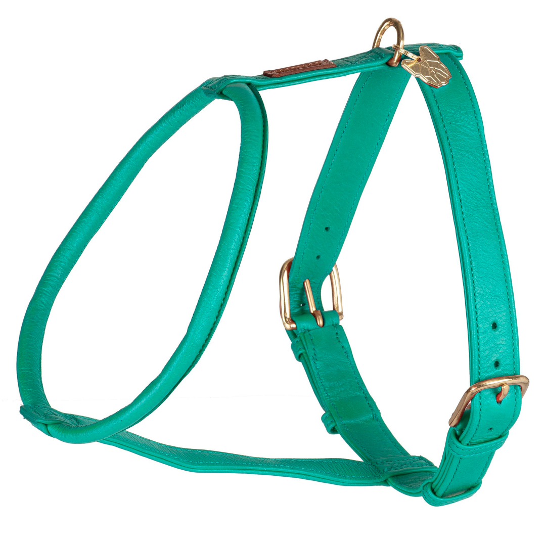 Shires Digby & Fox Rolled Leather Dog Harness
