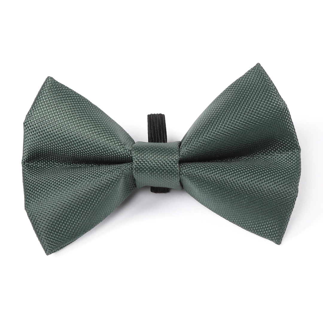Shires Digby & Fox Bow Tie