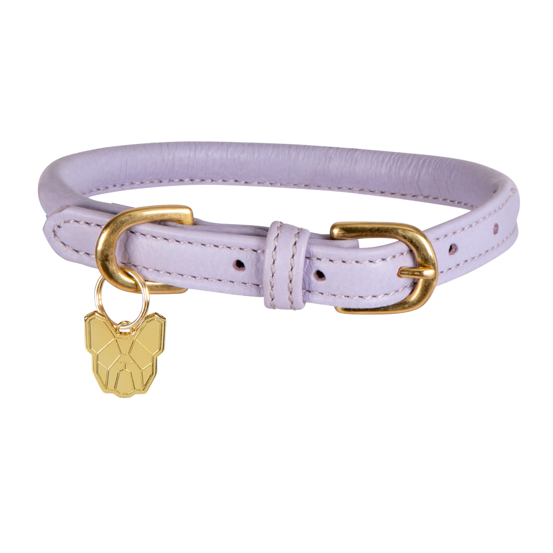 Shires Digby & Fox Rolled Leather Dog Collar