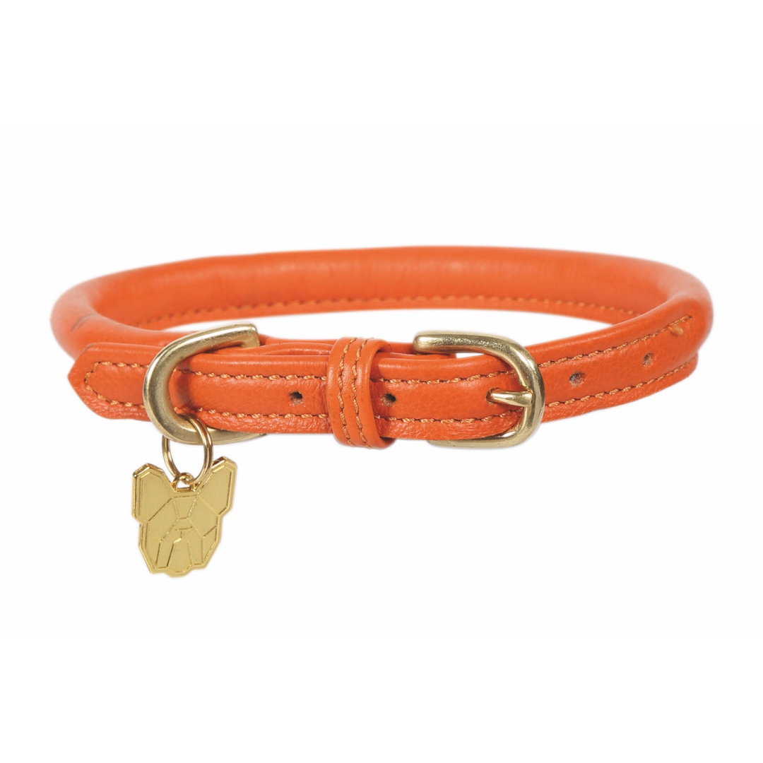 Shires Digby & Fox Rolled Leather Dog Collar