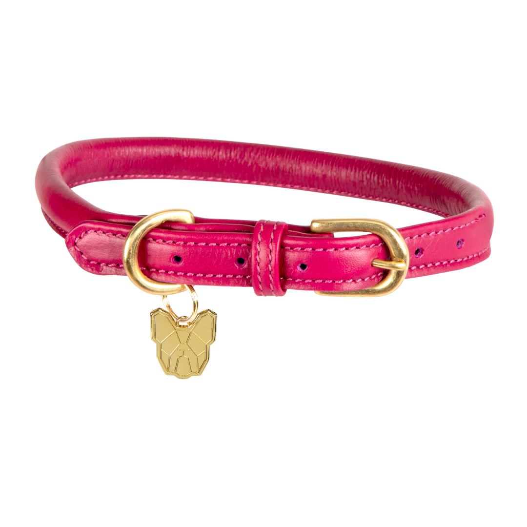 Shires Digby & Fox Rolled Leather Dog Collar