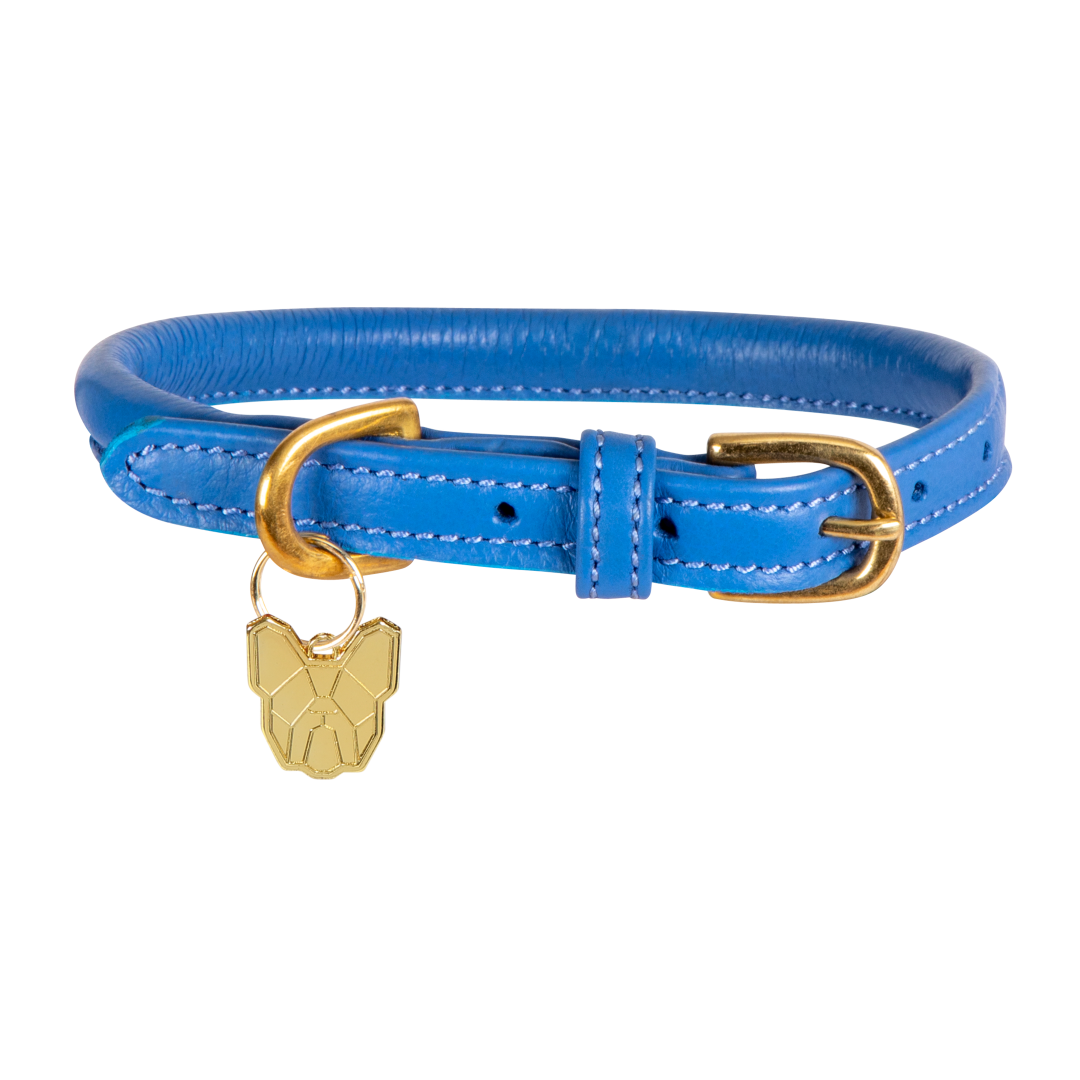 Shires Digby & Fox Rolled Leather Dog Collar