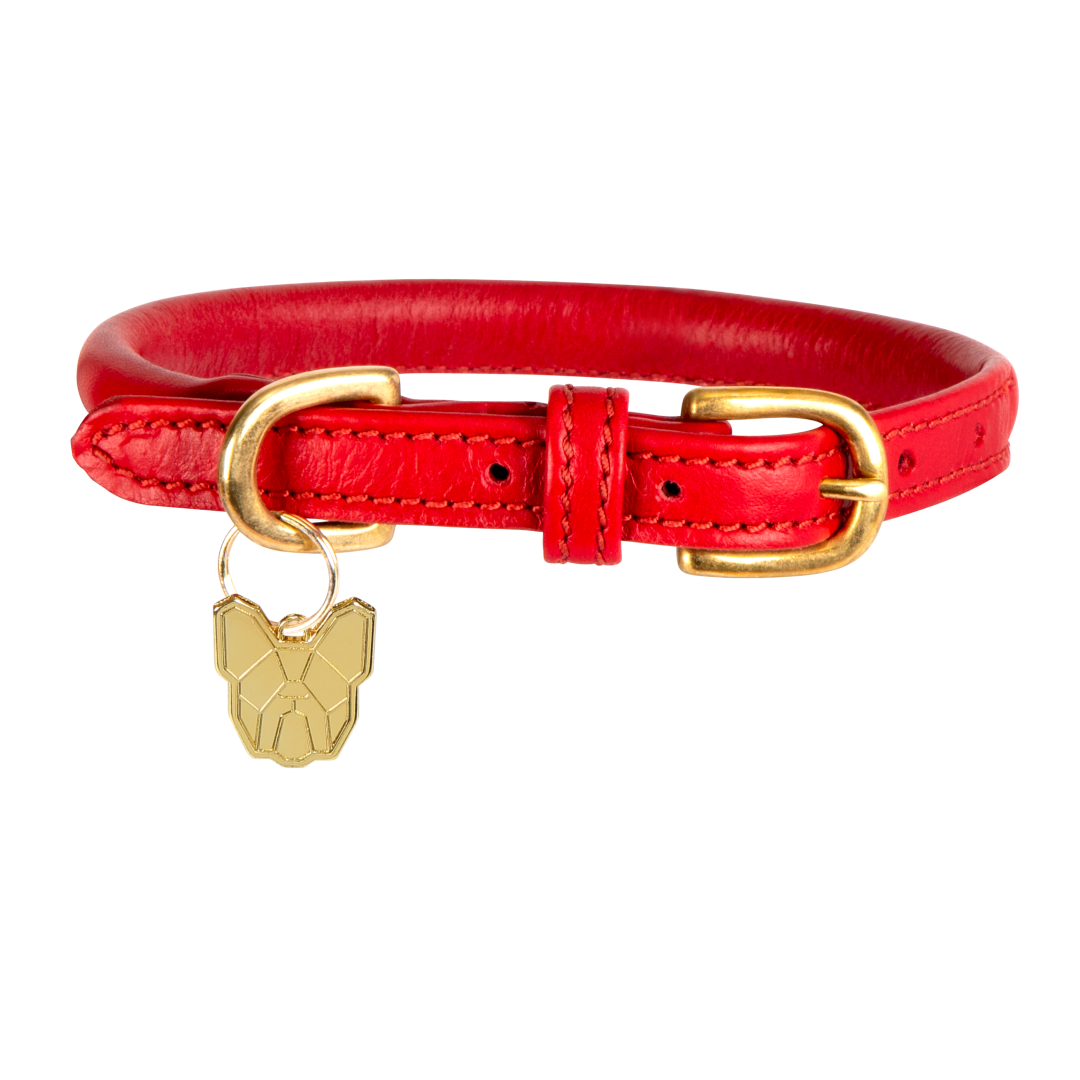 Shires Digby & Fox Rolled Leather Dog Collar