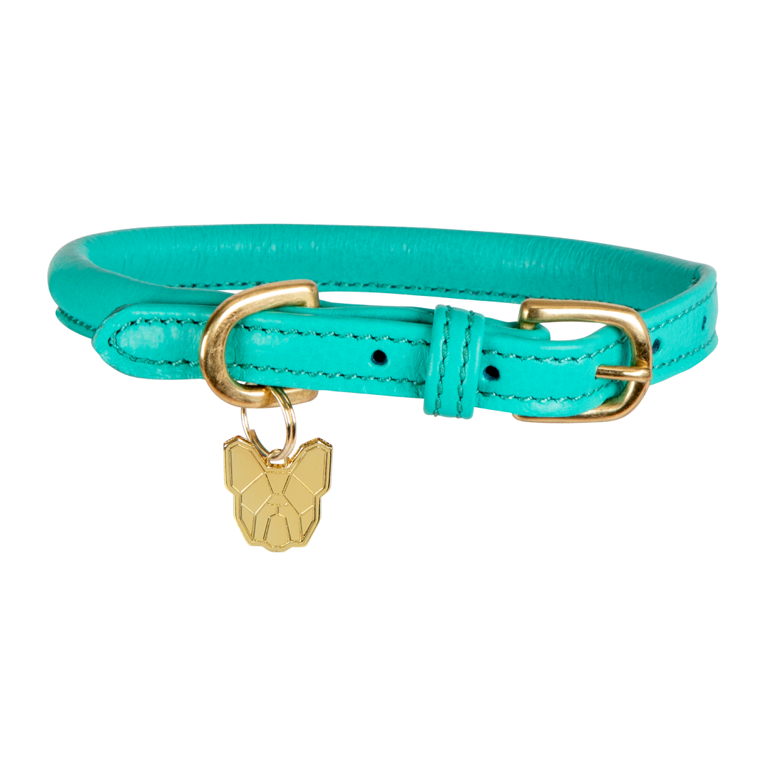 Shires Digby & Fox Rolled Leather Dog Collar