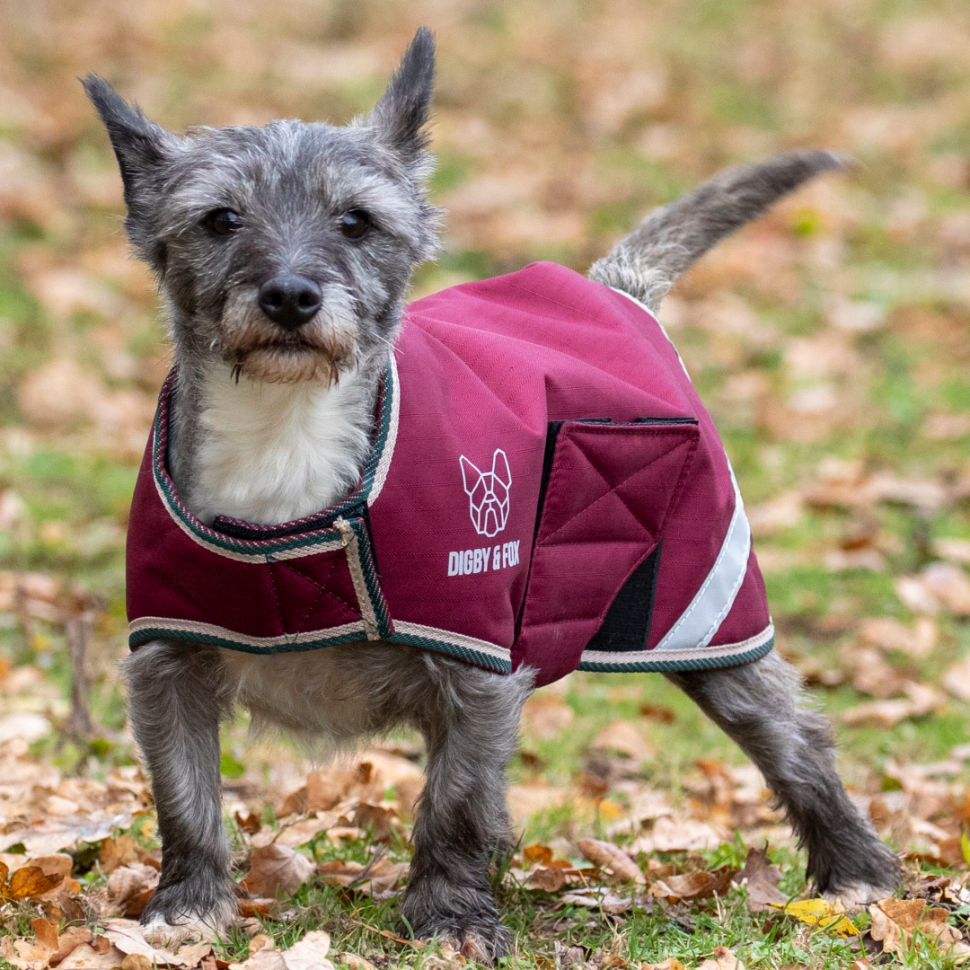 Shires Digby & Fox Waterproof Dog Coat