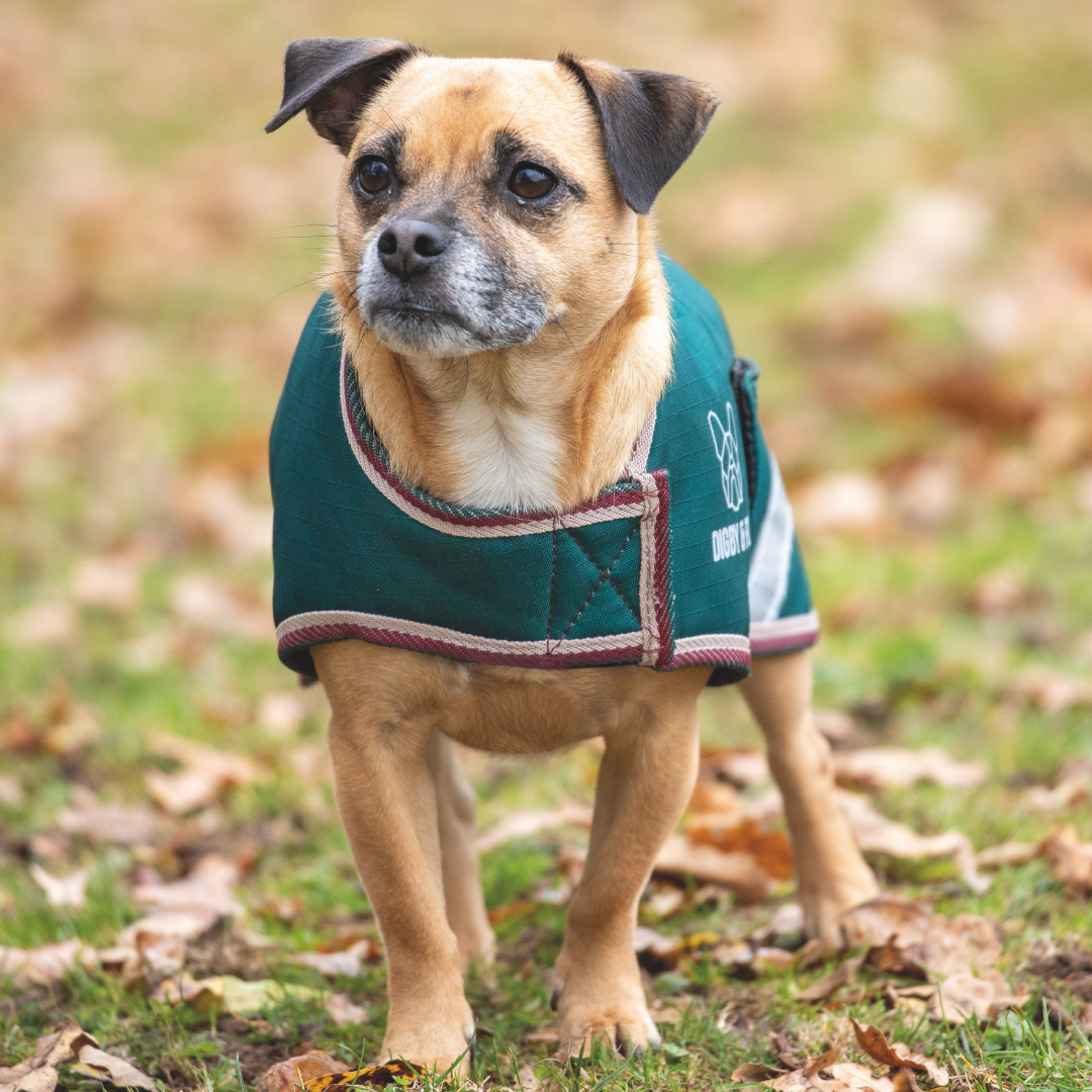 Shires Digby & Fox Waterproof Dog Coat