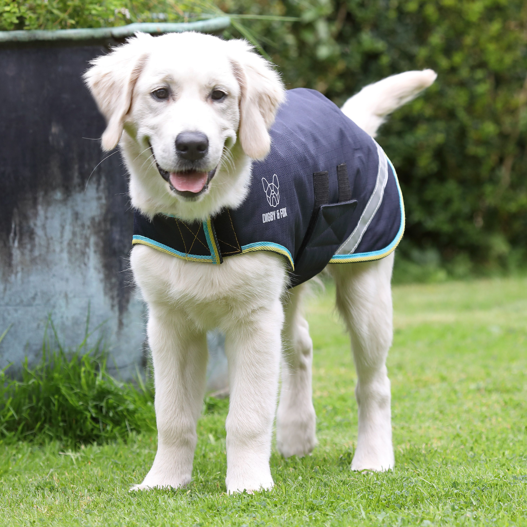Shires Digby & Fox Waterproof Dog Coat