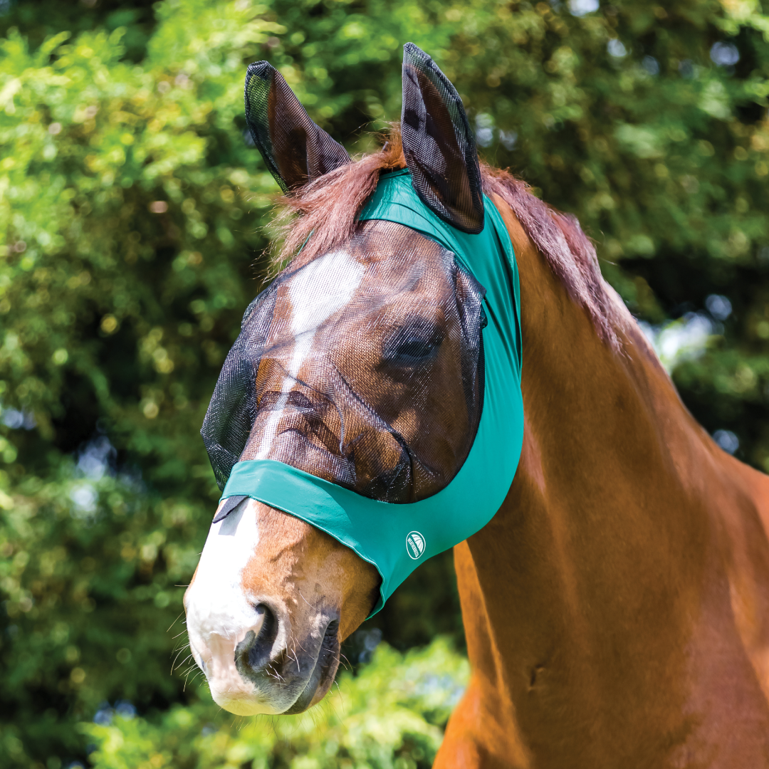 Weatherbeeta Deluxe Stretch Eye Saver With Ears