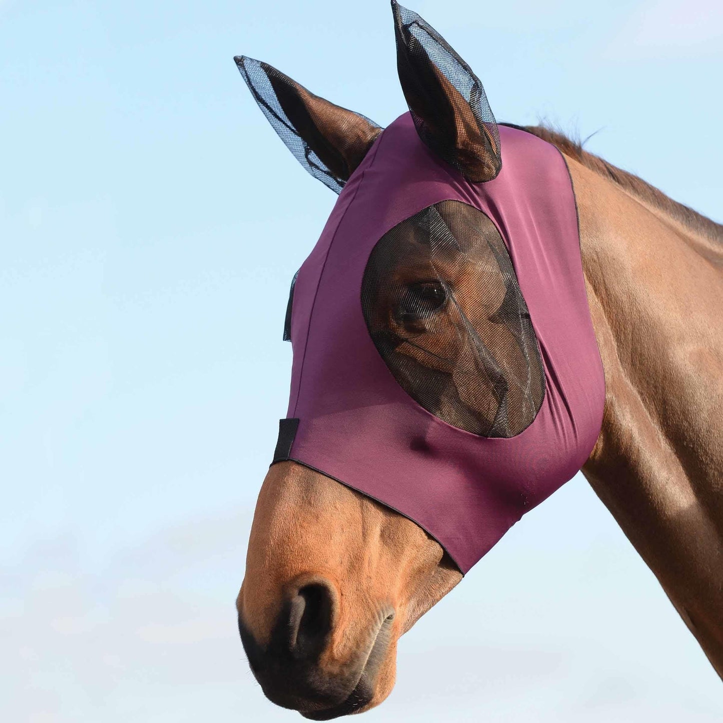 WeatherBeeta Stretch Bug Eye Saver with Ears