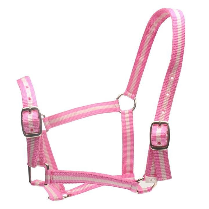 Roma Head Collar & Lead Set