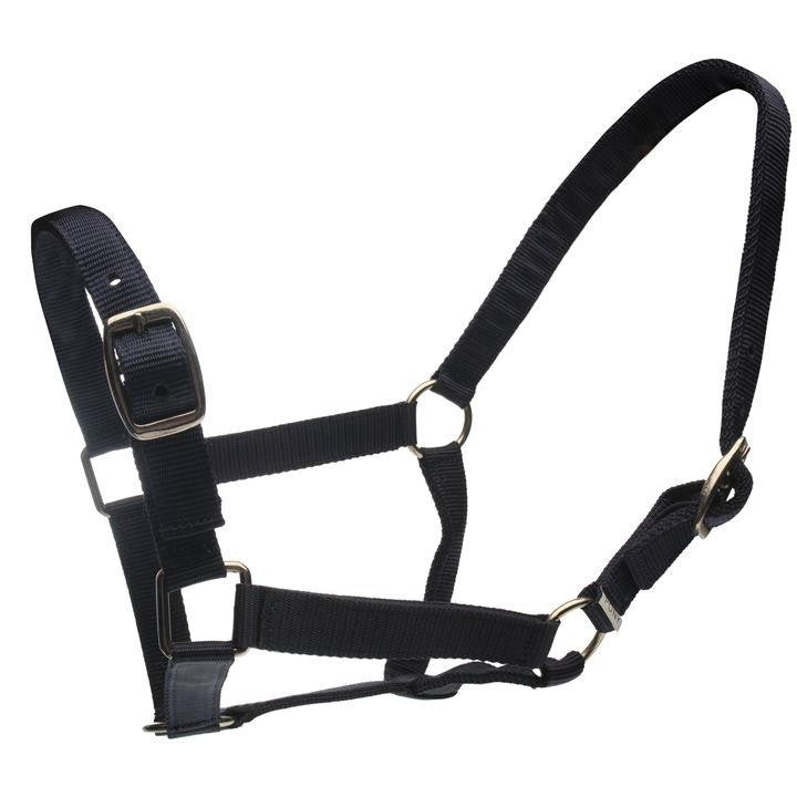 Roma Head Collar & Lead Set