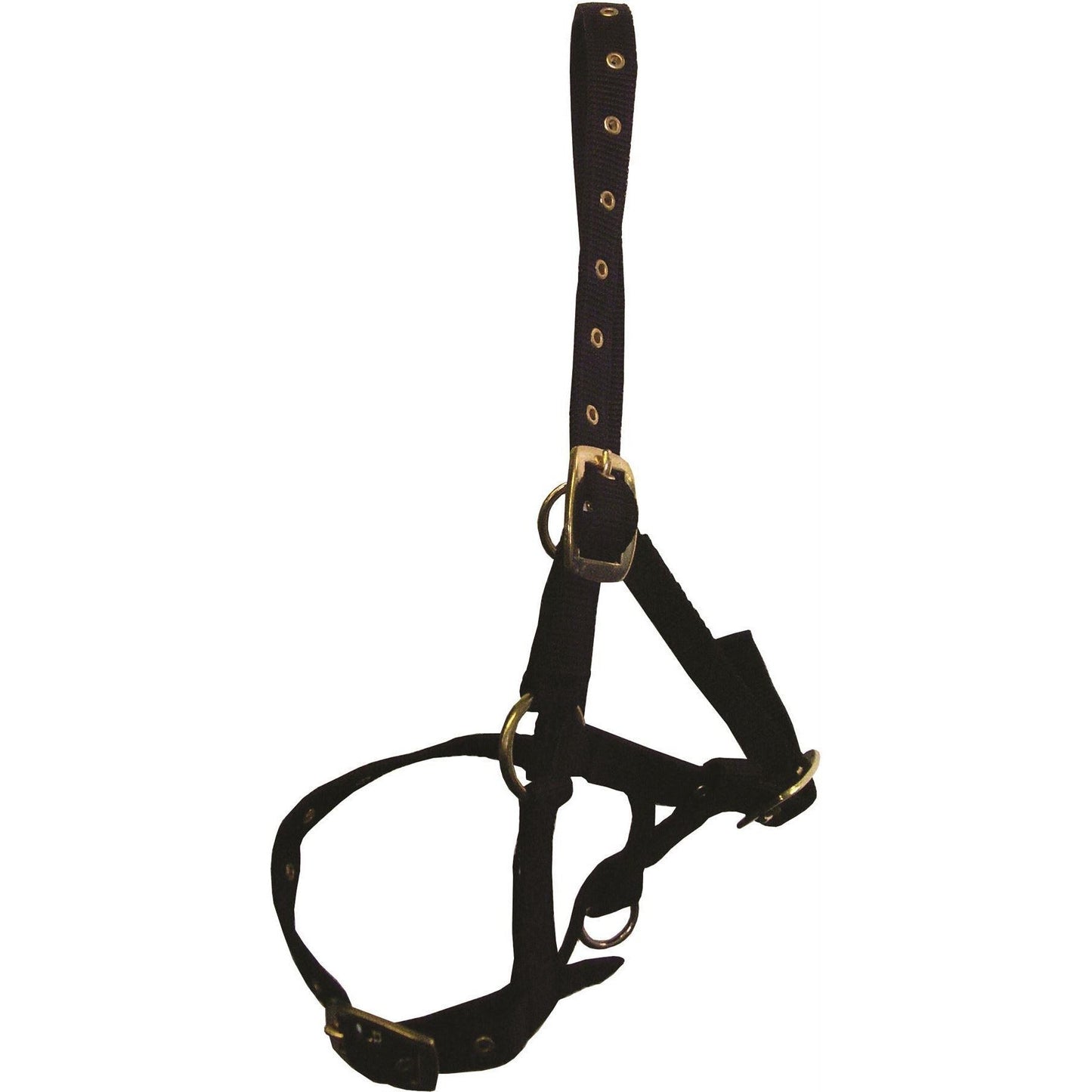 Hy Foal Head Collar