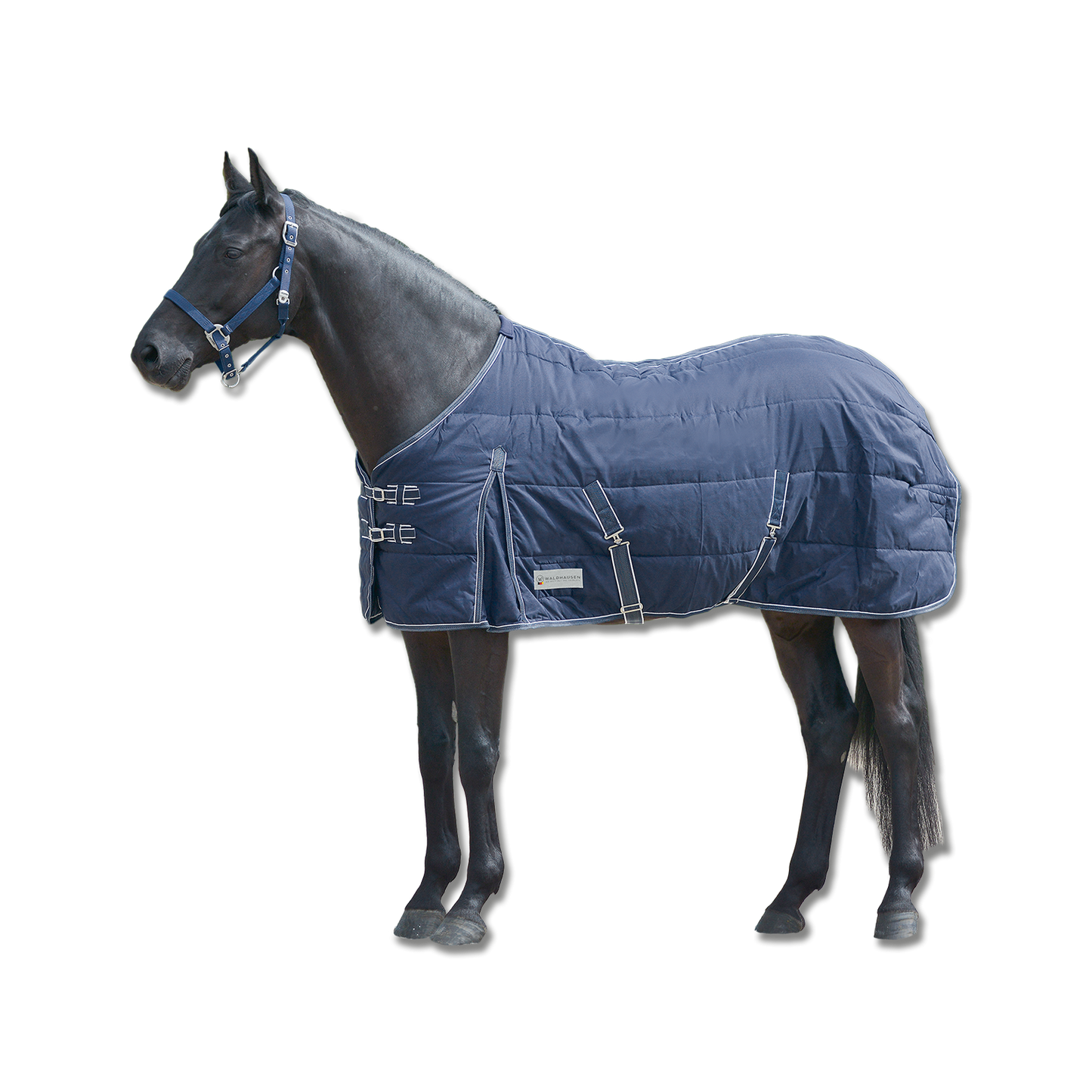 Waldhausen Economy Stable Rug 200g