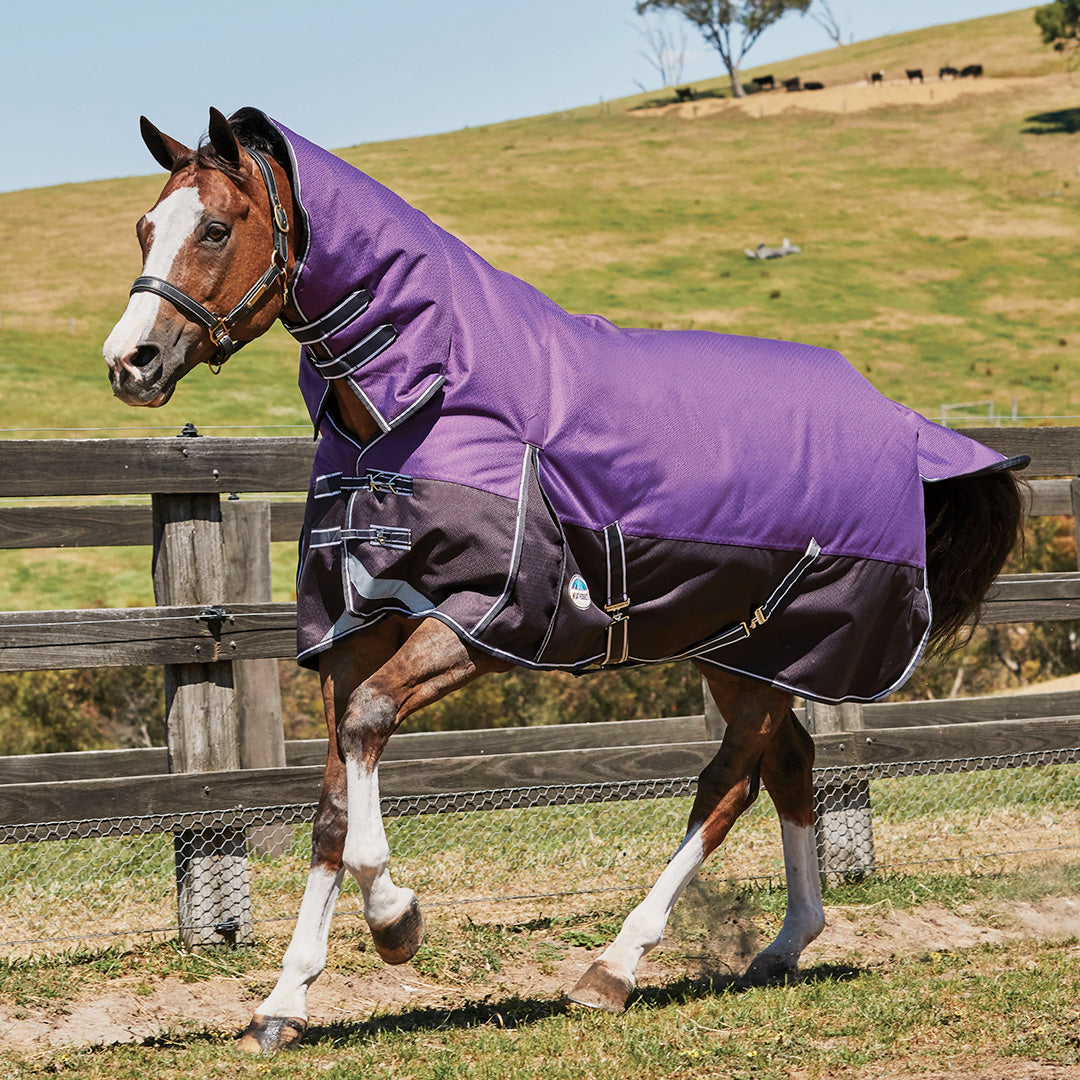 Weatherbeeta Comfitec Plus Dynamic Combo Neck Medium/Lite