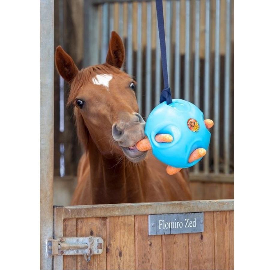 Shires Carrot Ball